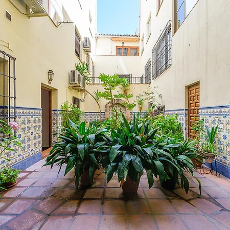 Appartement San Vicente By Ap *